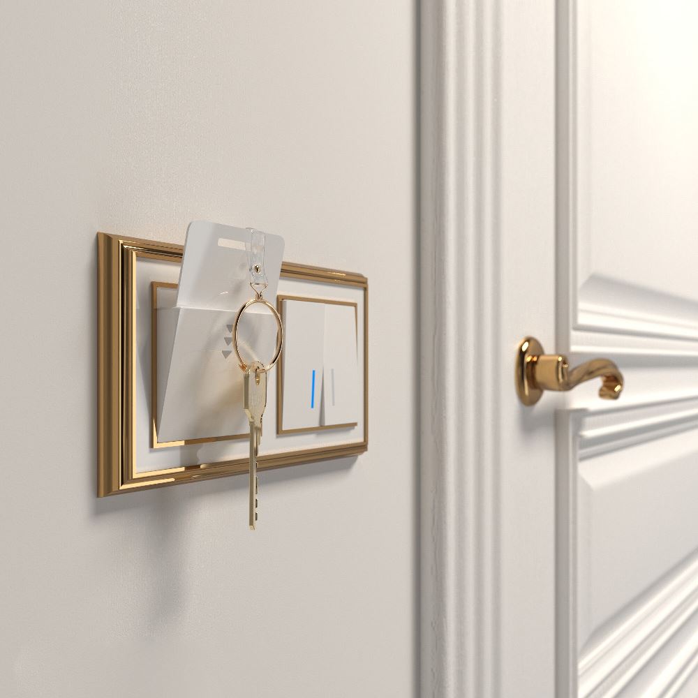 Выключатель электронный карточный встраиваемый Werkel Белый W1153101 — изображение 4