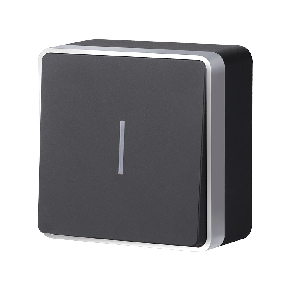 Выключатель одноклавишный накладной Werkel с подсветкой Черный с серебром W5010134