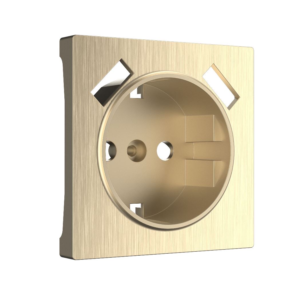 Накладка для розетки Werkel USB Шампань рифленый W1179510